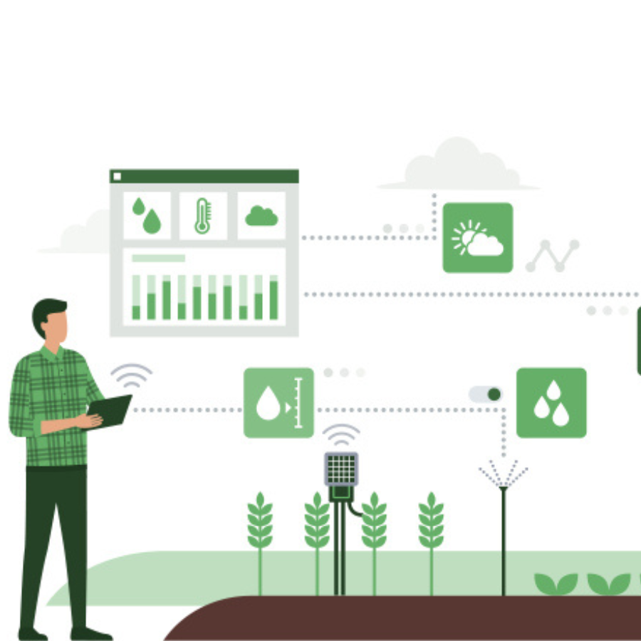 Enterprise Software Development